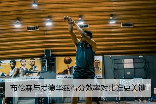 布伦森与爱德华兹得分效率对比谁更关键